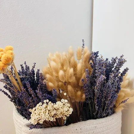 Holiday home Le Miromar *