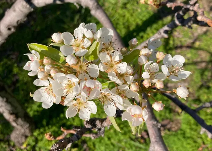 Le Miromar Дом отдыха Рива-Лигуре