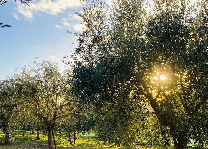 Le Miromar Рива-Лигуре