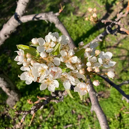 Le Miromar Casa de Férias Riva Ligure