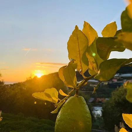 Le Miromar - Casa Indipendente - Parcheggio Privato - Private Parking * Riva Ligure