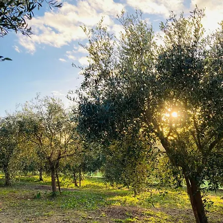 Le Miromar ريفا ليجوري