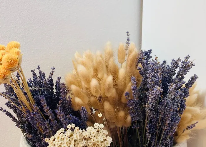 Ferienhaus Le Miromar *